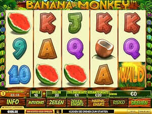 Banana Monkey